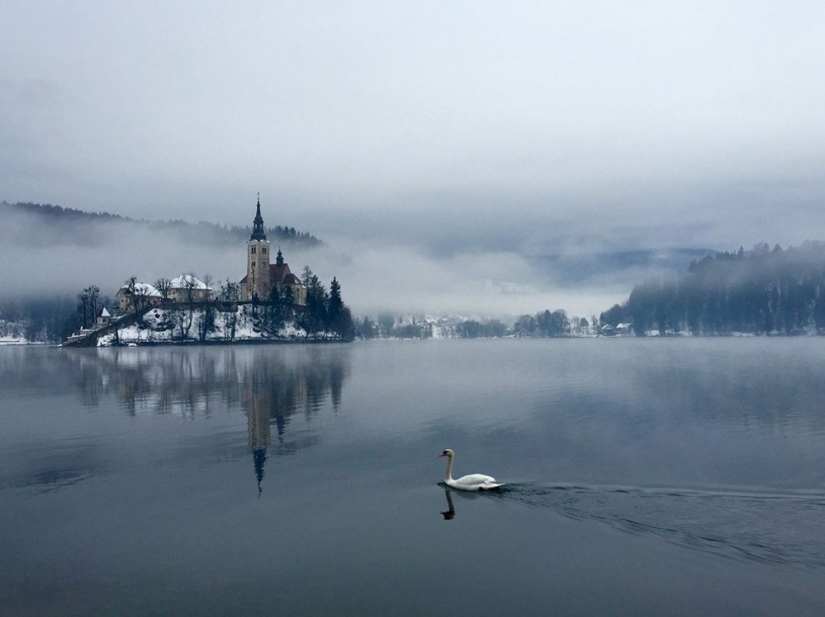 The 20 Best October Snapshots from National Geographic The 20 Best October Snapshots from National Geographic