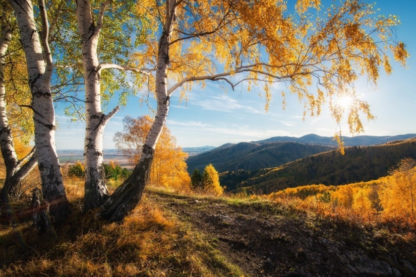 The 20 Best October Snapshots from National Geographic The 20 Best October Snapshots from National Geographic