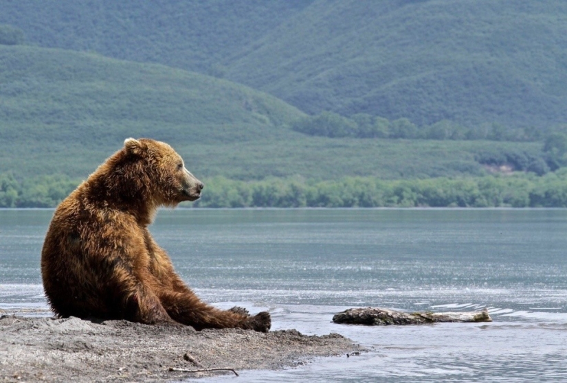 The 20 Best October Snapshots from National Geographic The 20 Best October Snapshots from National Geographic