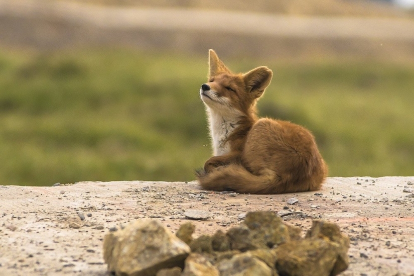 The 20 Best October Snapshots from National Geographic The 20 Best October Snapshots from National Geographic