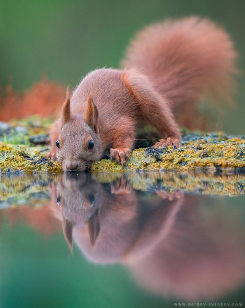 The 20 Best October Snapshots from National Geographic The 20 Best October Snapshots from National Geographic