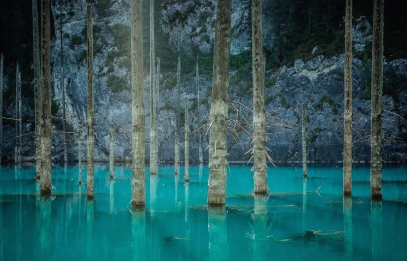 The 20 Best October Snapshots from National Geographic The 20 Best October Snapshots from National Geographic