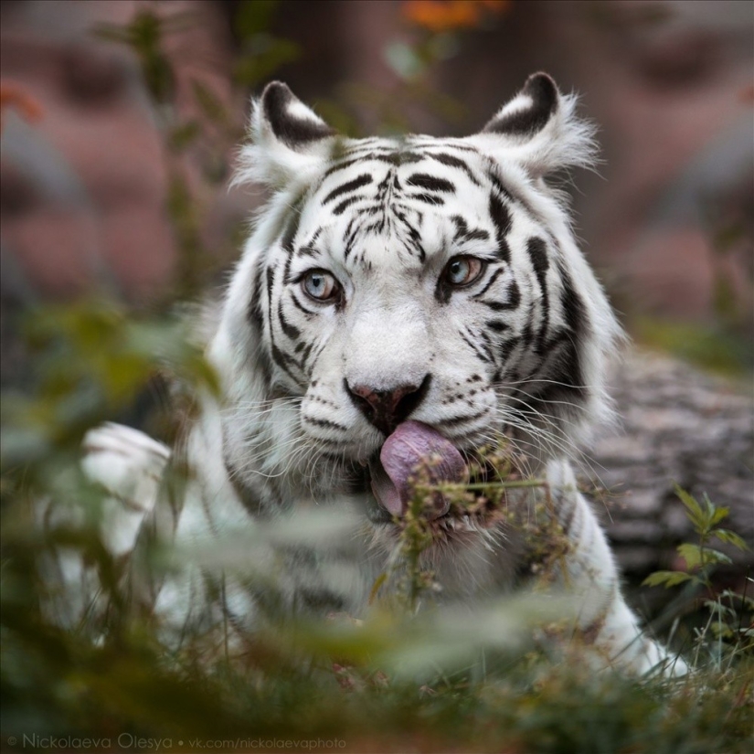 The 20 Best October Snapshots from National Geographic The 20 Best October Snapshots from National Geographic