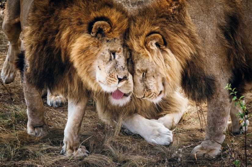 The 20 Best October Snapshots from National Geographic The 20 Best October Snapshots from National Geographic