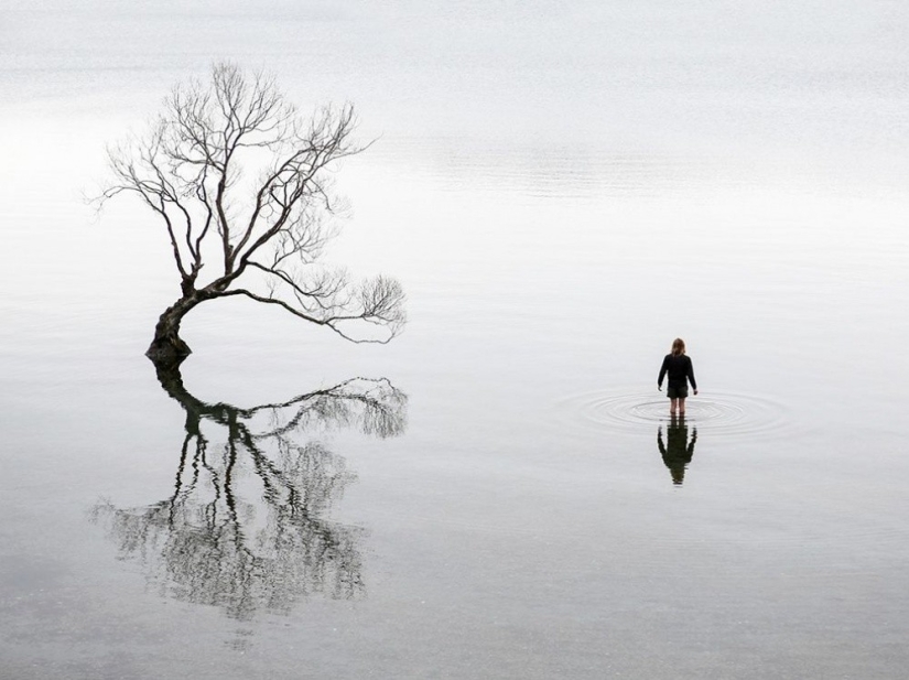 The 20 Best October Snapshots from National Geographic The 20 Best October Snapshots from National Geographic