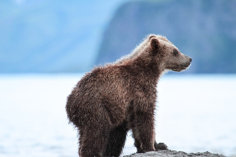 The 20 Best October Snapshots from National Geographic The 20 Best October Snapshots from National Geographic