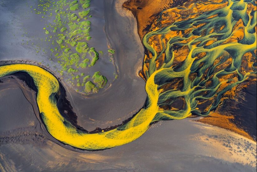 The 2023 International Photography Awards Has Revealed The Winning Nature Images The 2023 International Photography Awards Has Revealed The Winning Nature Images