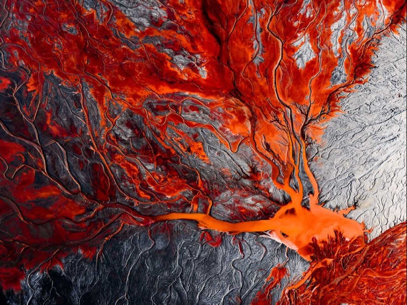 The 2023 International Photography Awards Has Revealed The Winning Nature Images The 2023 International Photography Awards Has Revealed The Winning Nature Images