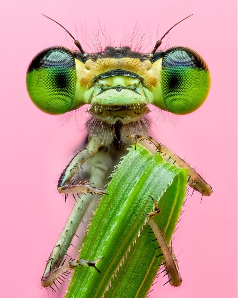 The 2023 International Photography Awards Has Revealed The Winning Nature Images The 2023 International Photography Awards Has Revealed The Winning Nature Images