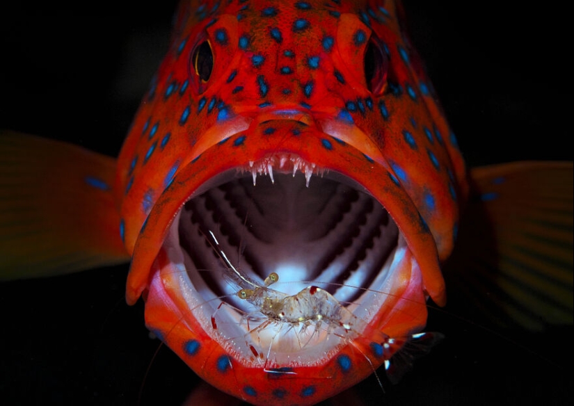 The 2023 International Photography Awards Has Revealed The Winning Nature Images The 2023 International Photography Awards Has Revealed The Winning Nature Images