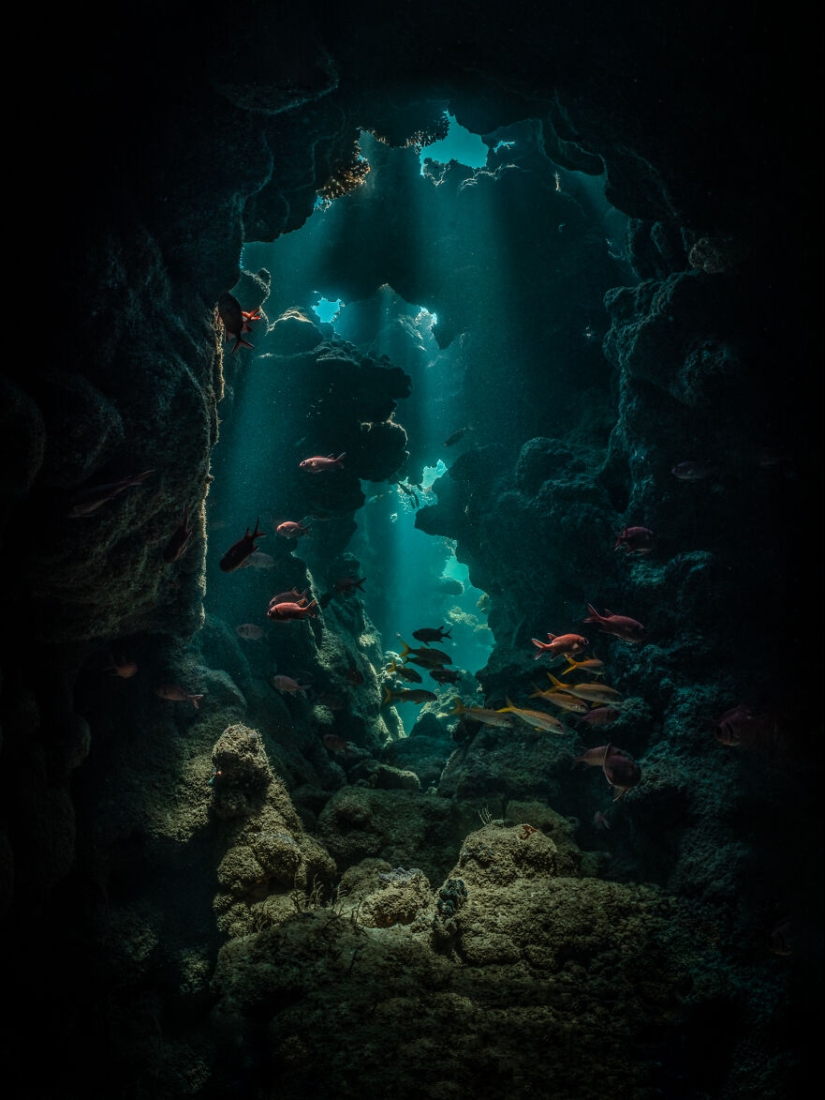 The 2023 International Photography Awards Has Revealed The Winning Nature Images The 2023 International Photography Awards Has Revealed The Winning Nature Images