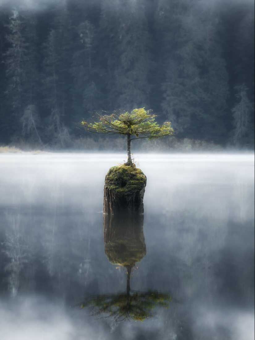 The 2023 International Photography Awards Has Revealed The Winning Nature Images The 2023 International Photography Awards Has Revealed The Winning Nature Images
