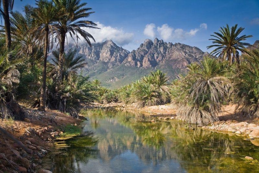 The amazing island of Socotra The amazing island of Socotra