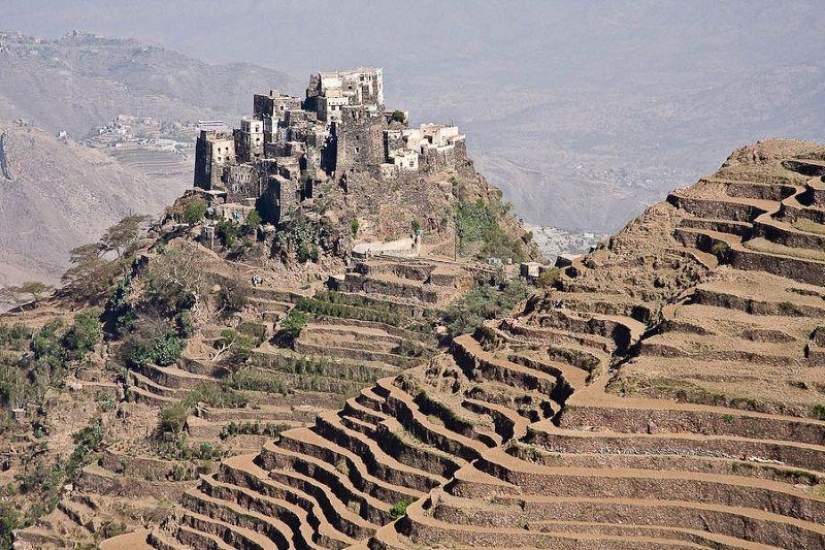 The amazing island of Socotra The amazing island of Socotra