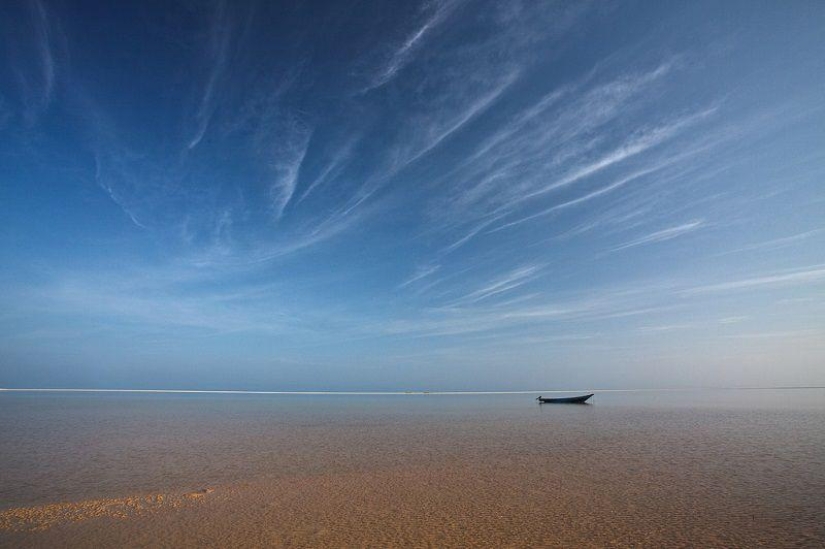 The amazing island of Socotra The amazing island of Socotra