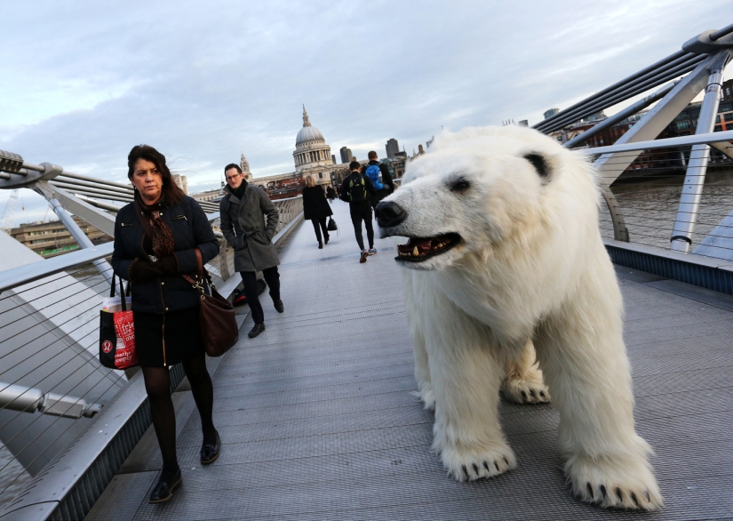 The bear was led through the streets
