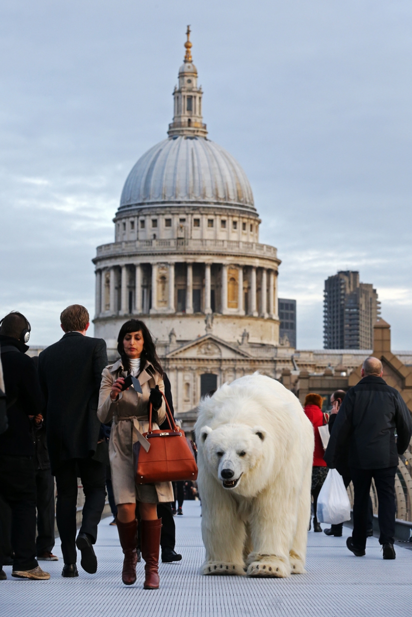 The bear was led through the streets