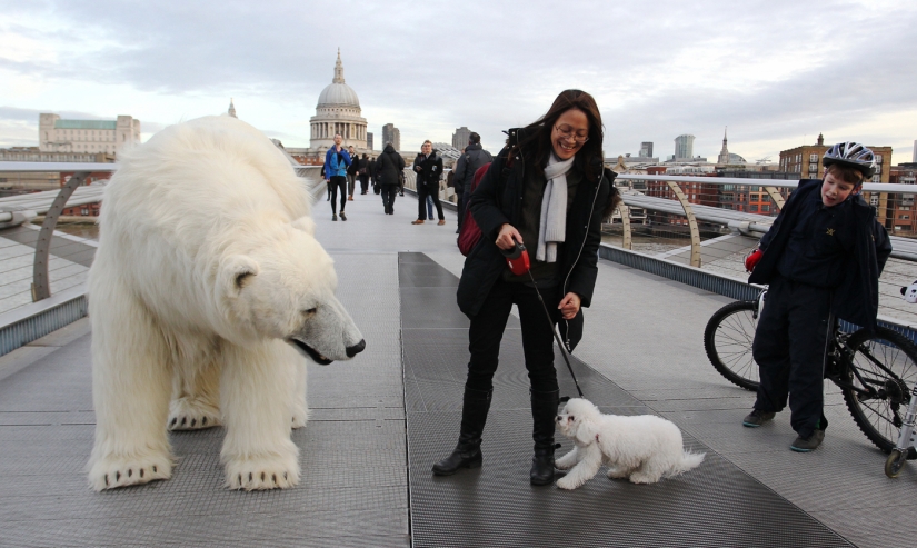 The bear was led through the streets