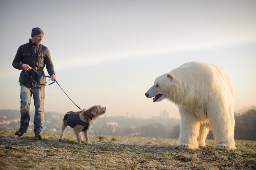 The bear was led through the streets