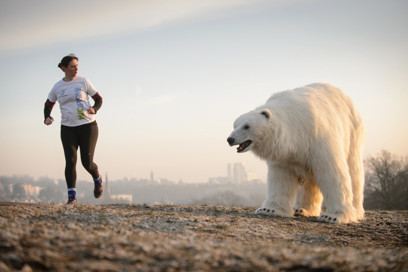 The bear was led through the streets