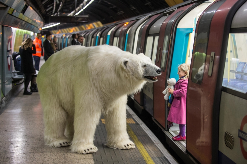 The bear was led through the streets