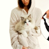 The best gift for a cat owner for the New Year!