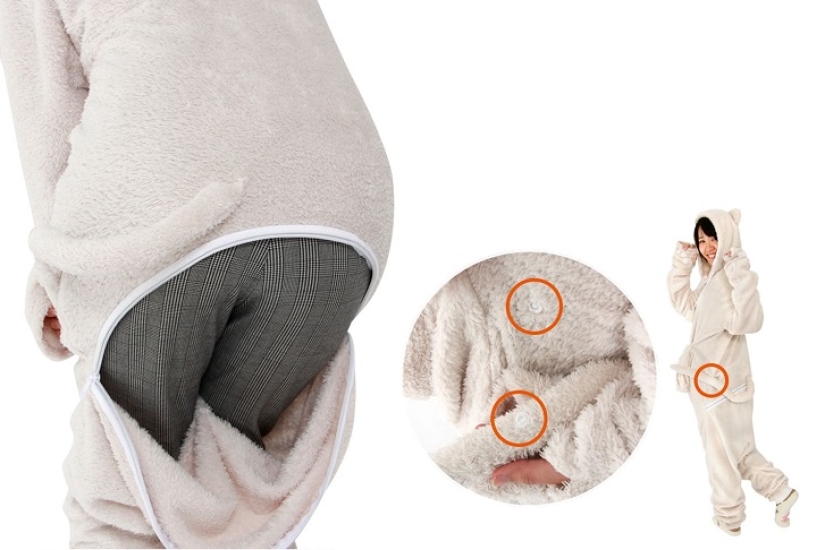 The best gift for a cat owner for the New Year! The best gift for a cat owner for the New Year!