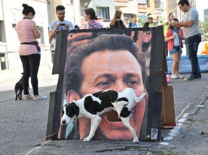 The best photos of 2013 taken at the most opportune moment