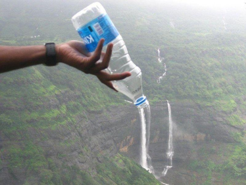 The best photos of 2013 taken at the most opportune moment