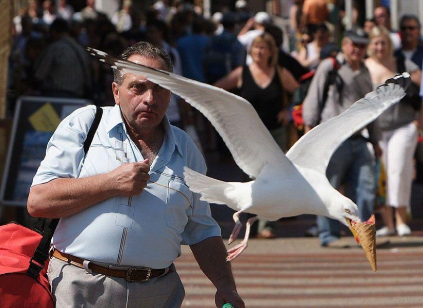 The best photos of 2013 taken at the most opportune moment