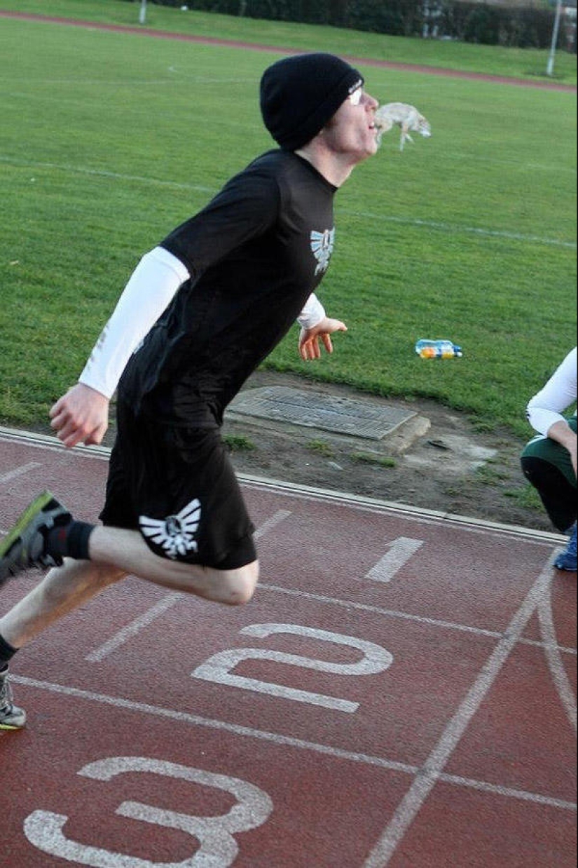 The best photos of 2013 taken at the most opportune moment