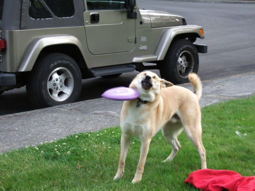 The best photos of 2013 taken at the most opportune moment