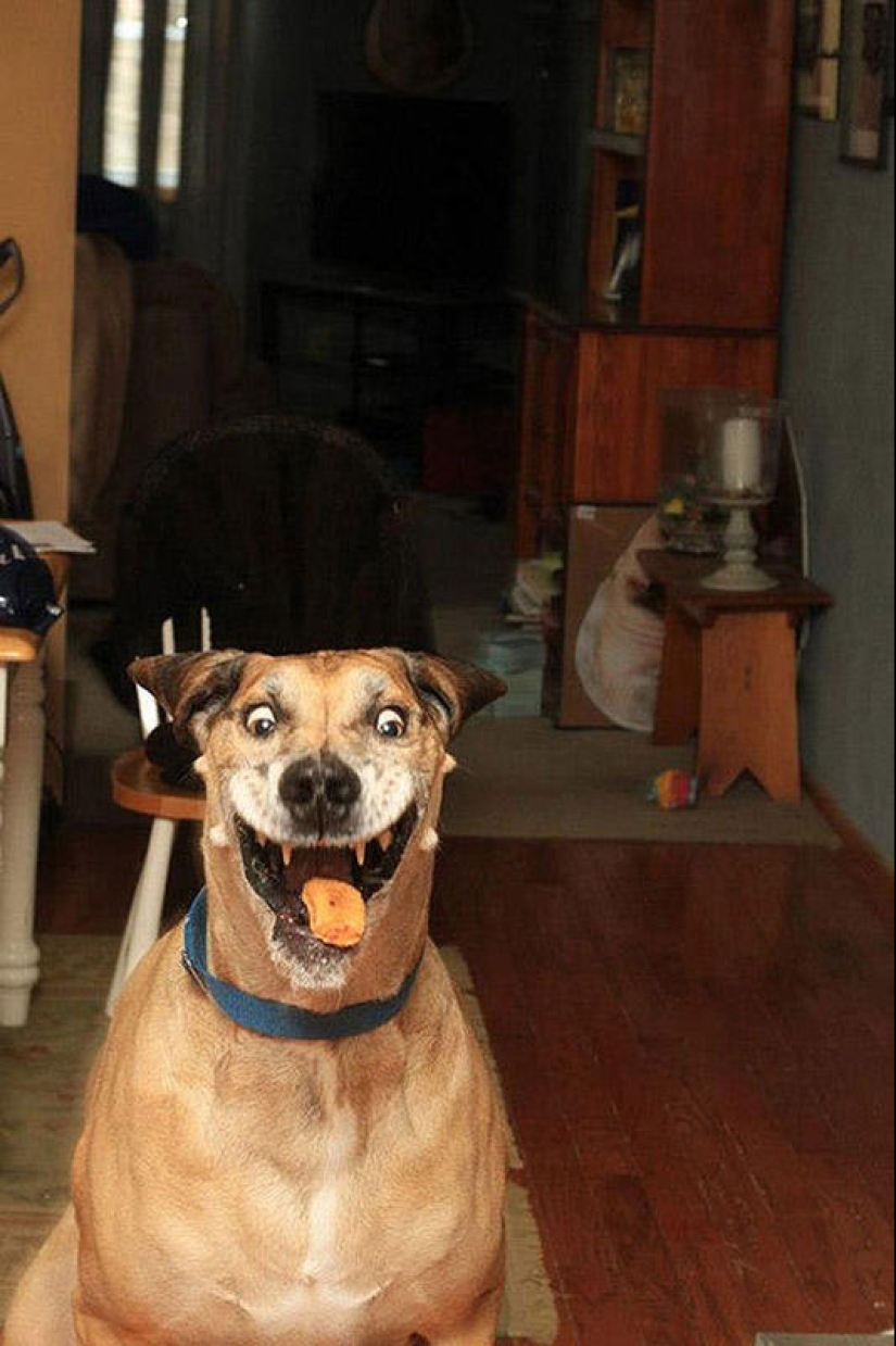 The best photos of 2013 taken at the most opportune moment