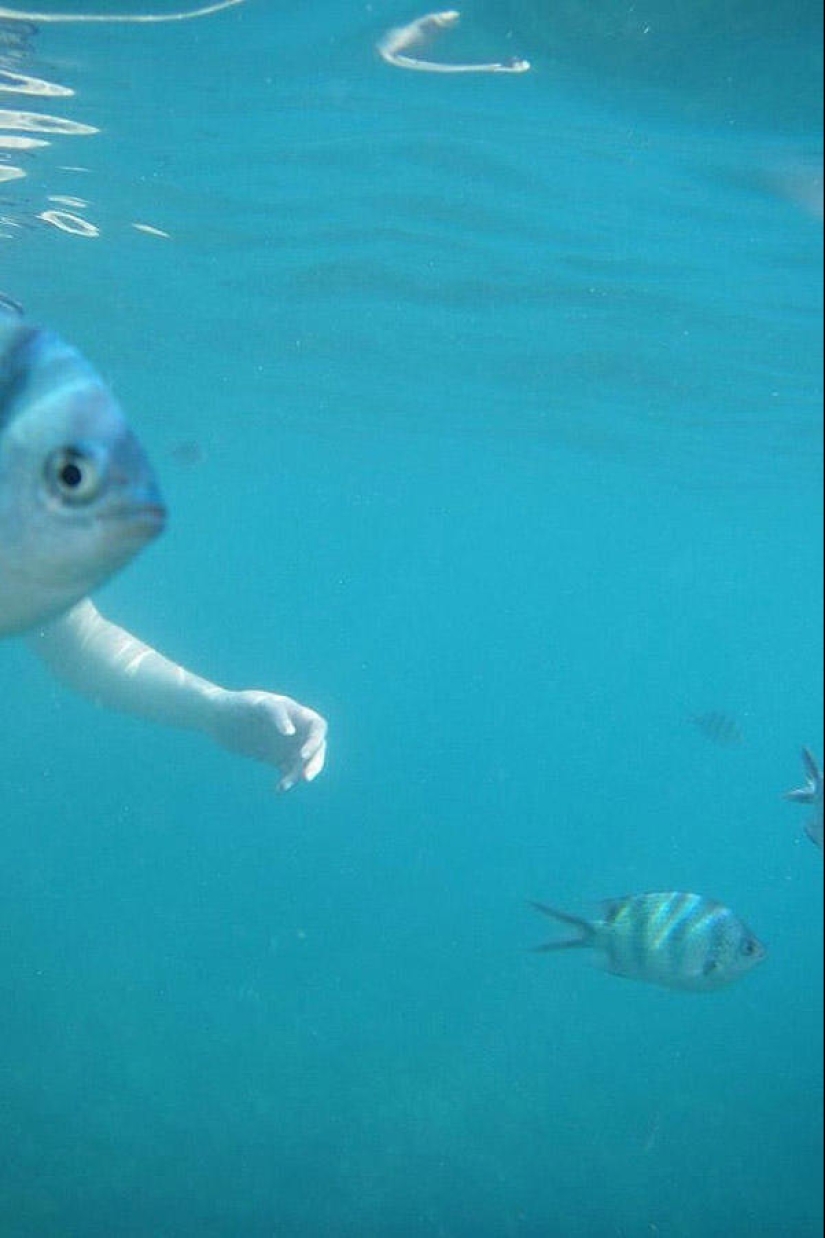 The best photos of 2013 taken at the most opportune moment
