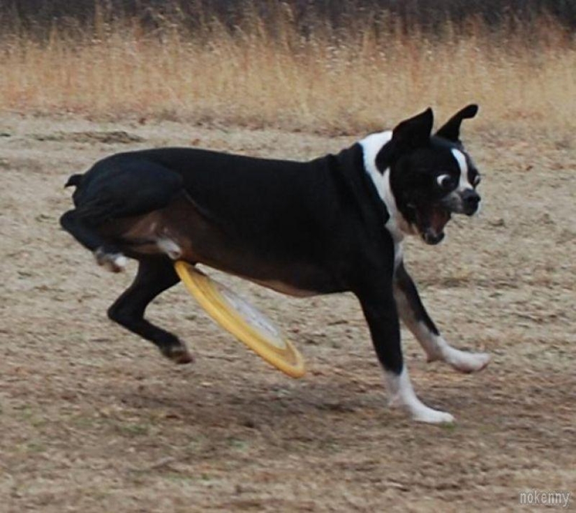 The best photos of 2013 taken at the most opportune moment