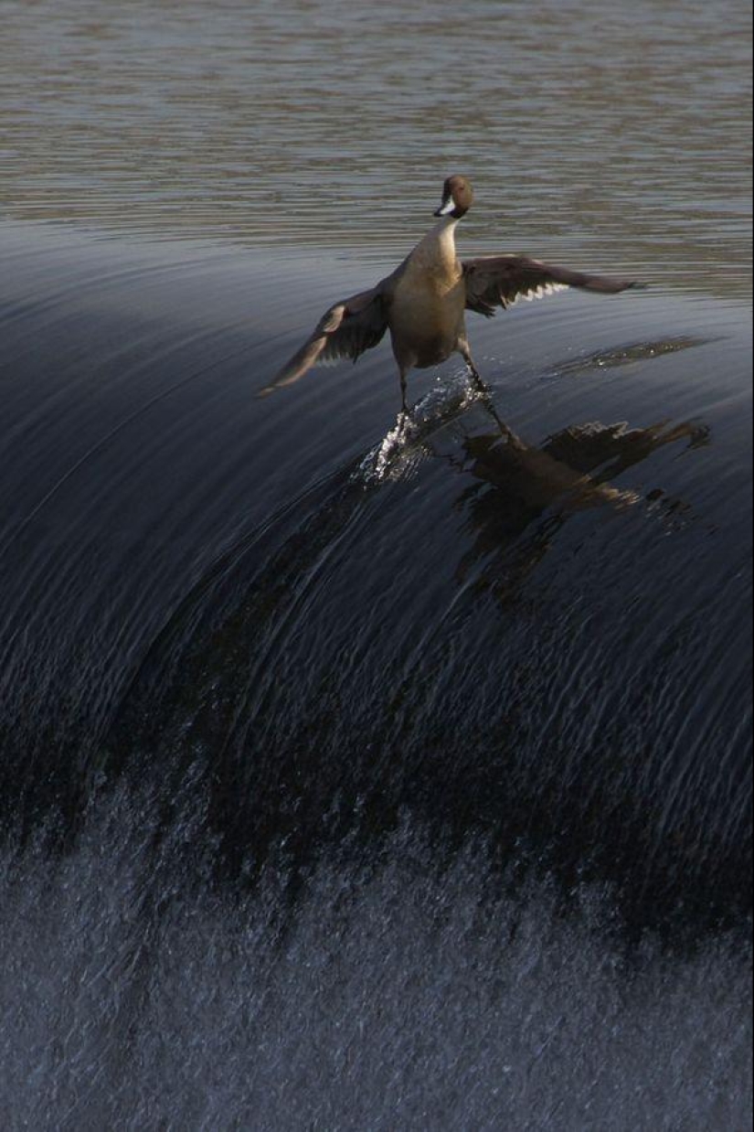 The best photos of 2013 according to Twistedsifter magazine