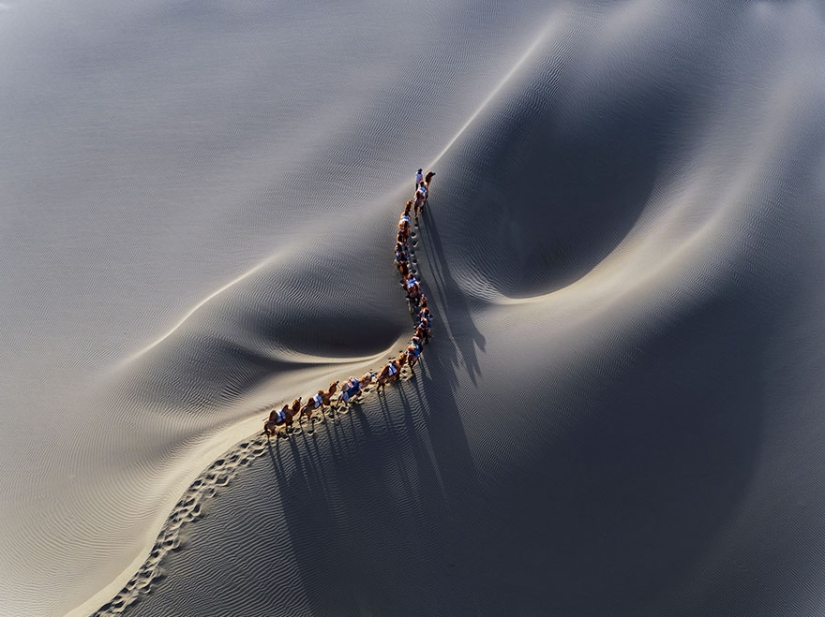The best photos of 2016 according to Reuters