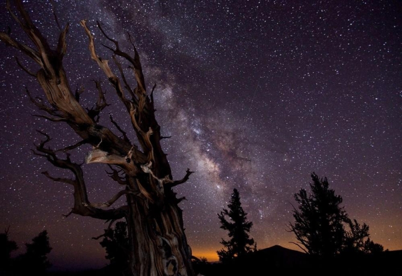 The best photos of our Universe according to the Greenwich observatory