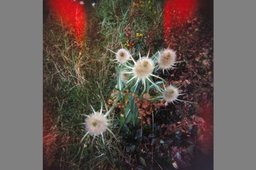 The best photos of the continuation of the project &quot;Follow me&quot;
