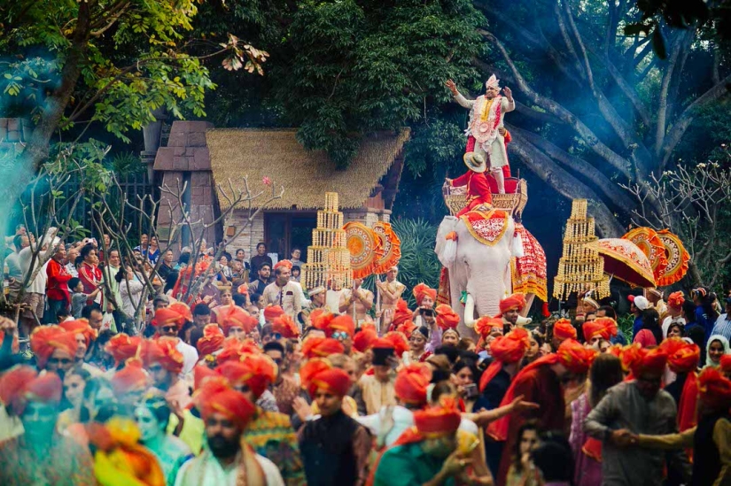 The best pictures of wedding photographers of 2016