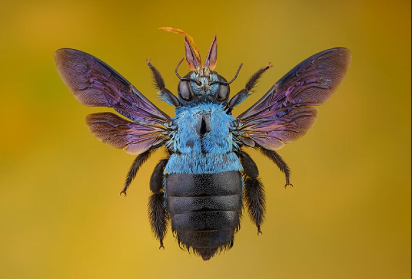 The Best Shots Of The Animal Kingdom, As Announced By The EISA Maestro Awards 2023 The Best Shots Of The Animal Kingdom, As Announced By The EISA Maestro Awards 2023