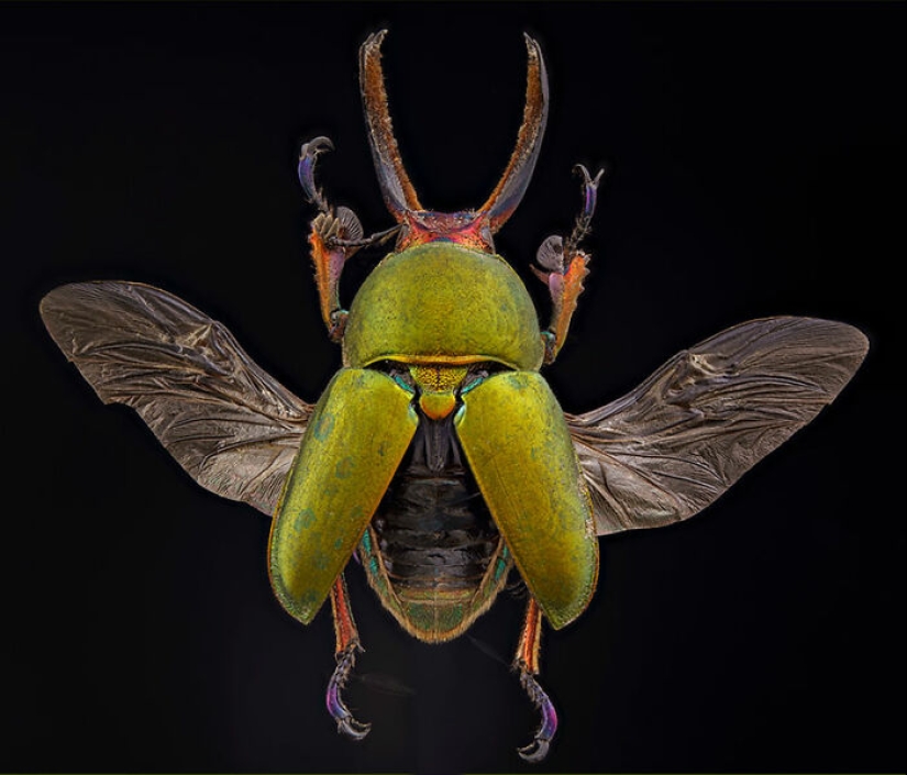 The Best Shots Of The Animal Kingdom, As Announced By The EISA Maestro Awards 2023 The Best Shots Of The Animal Kingdom, As Announced By The EISA Maestro Awards 2023