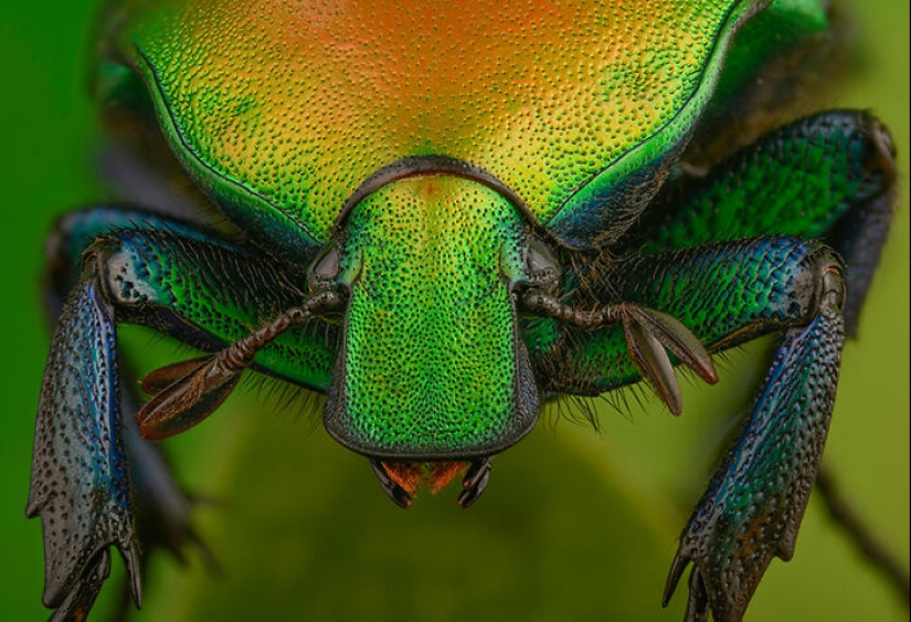The Best Shots Of The Animal Kingdom, As Announced By The EISA Maestro Awards 2023 The Best Shots Of The Animal Kingdom, As Announced By The EISA Maestro Awards 2023