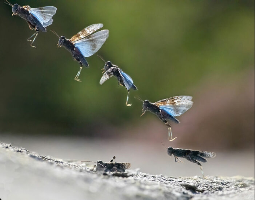 The Best Shots Of The Animal Kingdom, As Announced By The EISA Maestro Awards 2023 The Best Shots Of The Animal Kingdom, As Announced By The EISA Maestro Awards 2023