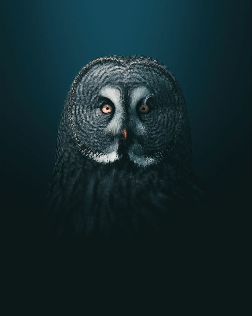 The Best Shots Of The Animal Kingdom, As Announced By The EISA Maestro Awards 2023 The Best Shots Of The Animal Kingdom, As Announced By The EISA Maestro Awards 2023