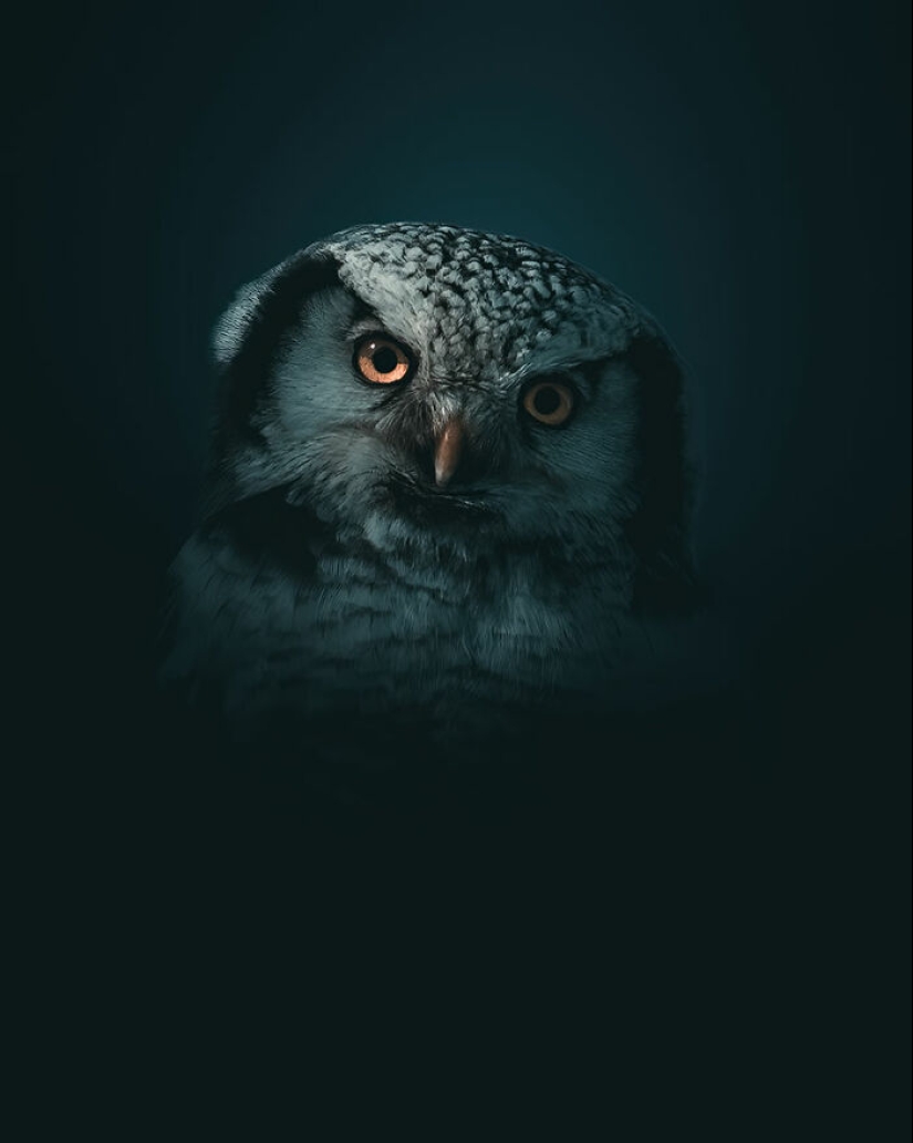 The Best Shots Of The Animal Kingdom, As Announced By The EISA Maestro Awards 2023 The Best Shots Of The Animal Kingdom, As Announced By The EISA Maestro Awards 2023
