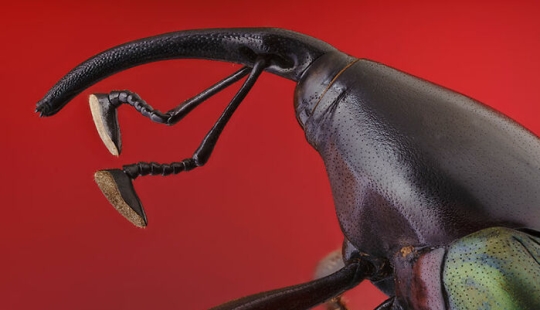 The Best Shots Of The Animal Kingdom, As Announced By The EISA Maestro Awards 2023