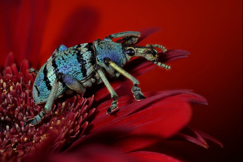 The Best Shots Of The Animal Kingdom, As Announced By The EISA Maestro Awards 2023 The Best Shots Of The Animal Kingdom, As Announced By The EISA Maestro Awards 2023