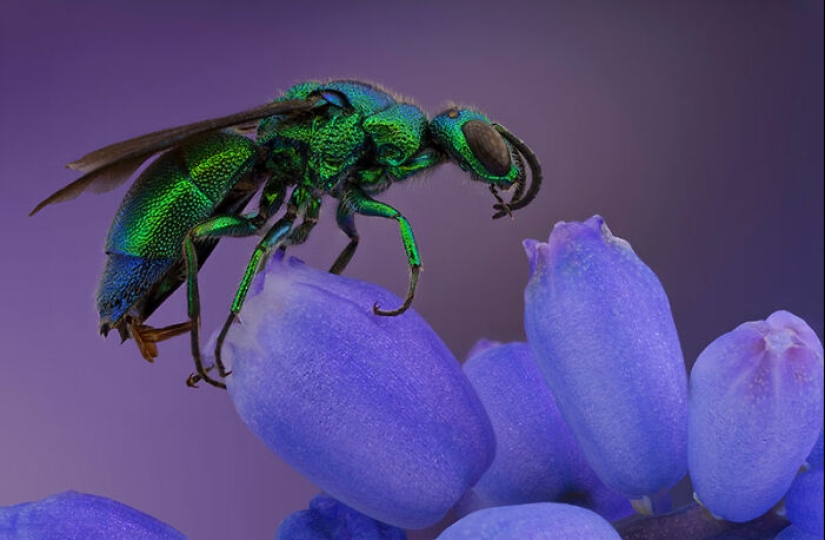 The Best Shots Of The Animal Kingdom, As Announced By The EISA Maestro Awards 2023 The Best Shots Of The Animal Kingdom, As Announced By The EISA Maestro Awards 2023