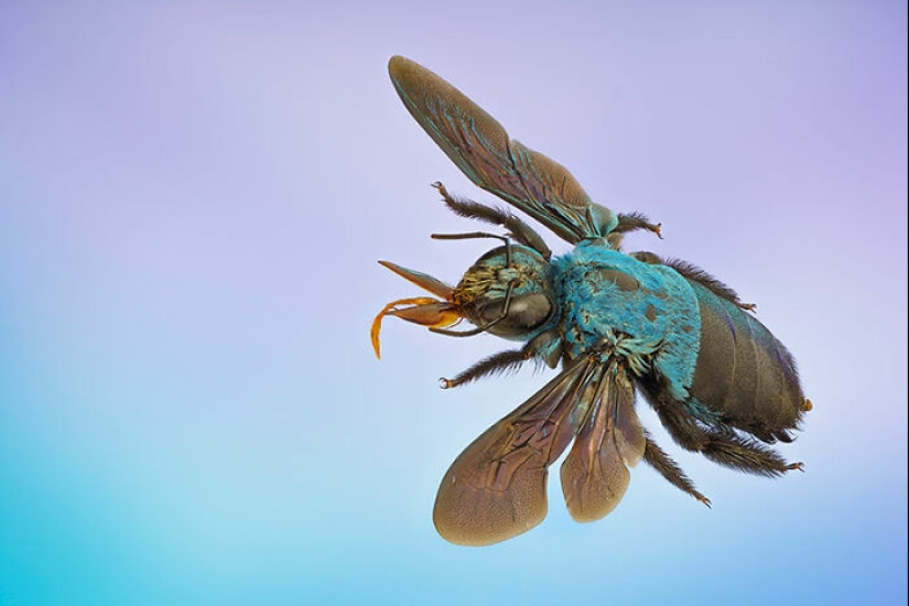 The Best Shots Of The Animal Kingdom, As Announced By The EISA Maestro Awards 2023 The Best Shots Of The Animal Kingdom, As Announced By The EISA Maestro Awards 2023
